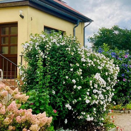 Ferienwohnung Heiligenhagen Satow Екстер'єр фото